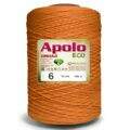 Fio_Apolo_Eco_6_Circulo_1_8Kg_4156