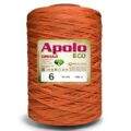 Fio_Apolo_Eco_6_Circulo_1_8Kg_4445
