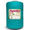 Fio_Apolo_Eco_6_Circulo_1_8Kg_5669