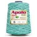 Fio_Apolo_Eco_6_Circulo_600g_5276