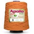 Fio_Apolo_Eco_8_Circulo_600g_4156