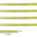 passamanaria_7050_019_amarelo_bb_1